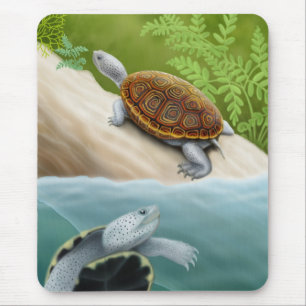 Tartarugas Mousepad da tartaruga de água doce de