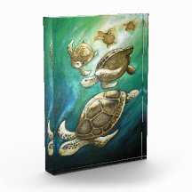 Tartarugas Natação