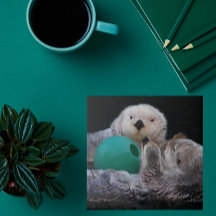 Tartes do Mar de Brincadeira