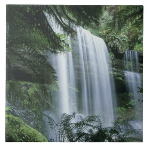 Tasmânia, Parque Nacional do Monte Campo, Russell