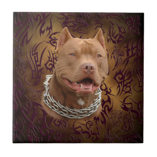 Tatuagem tribal de Pitbull Brown