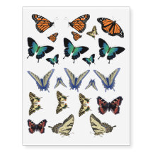 Tatuagens da borboleta - borboletas; natural