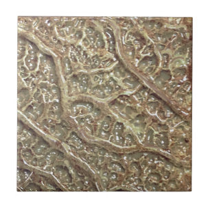 Taupe de Azulejo de cerâmica texturizada