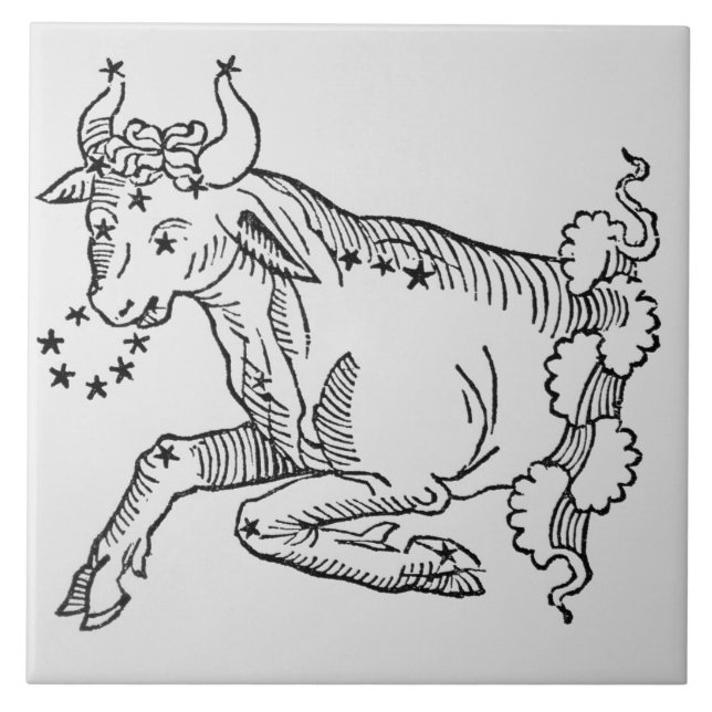 Taurus (Bull) uma ilustração 'do poético (Frente)