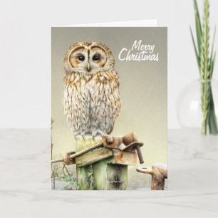 Tawny Owl no cartão de Natal das belas artes da ne