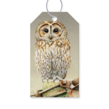 Tawny owy belas artes pintando etiqueta de present