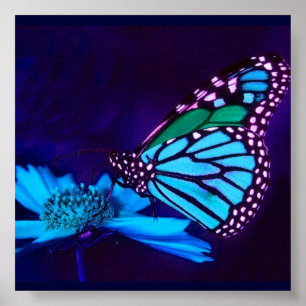 - TBA - Borboleta no poster claro azul