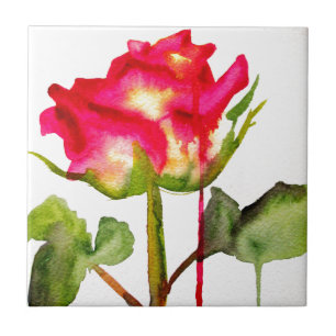Tea Rosa de cor aquosa, arte floral moderna