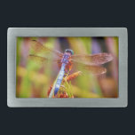 Teal Dragonfly na borda<br><div class="desc">Teal Dragonfly na borda Teal & púrpura Dragonfly Rainbow Dragonfly Dragonfly Azul Dragonfly sobre flores roxas. dragão, mosca, moscas, libélulas, libélulas, libélulas, voando, dragões, insetos, insetos, jardim, natureza, crescimento, plantas, libélulas e damalquetes, serenidade, diversão, verão, alegria, verão, alegria, verde</div>