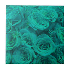 Teal elegante romântico - rosas verdes