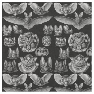 Tecido 1904 Haeckel Chiroptera