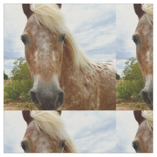 Tecido "A Carona de Açúcar: A Graça de Appaloosa"