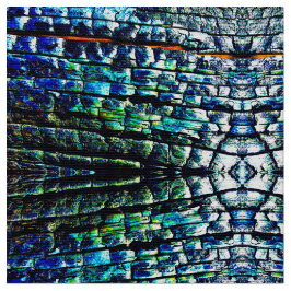 Tecido abstrato Burnt Latido