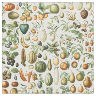 Tecido Adolphe Millot Fruta