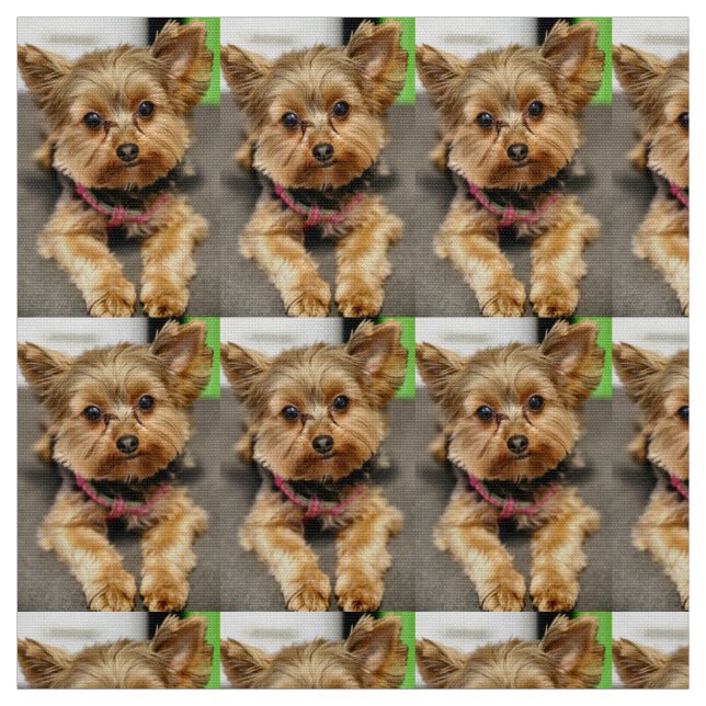 Tecido Adorável (Modelo)