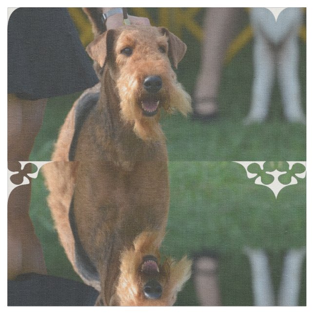 Tecido Airedale bonito Terrier (Detalhe)