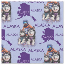 Alaska Musher E Seus Cães