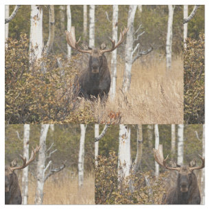 Tecido Alces impressionantes de Bull