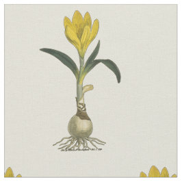 Tecido Amaryllis Tulip Botanical Garden Flower