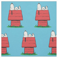 Amendoins | Snoopy Dormindo