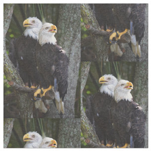 Tecido americano da águia americana