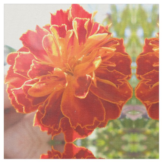 Tecido Anastenia (Detalhe)