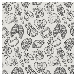 Tecido Anatomia Humana: Estranha Ciência Bio Skull Hallow