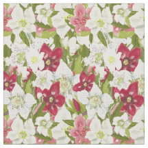 Anêmonas de Natal - Flores de Hellebores Pintadas