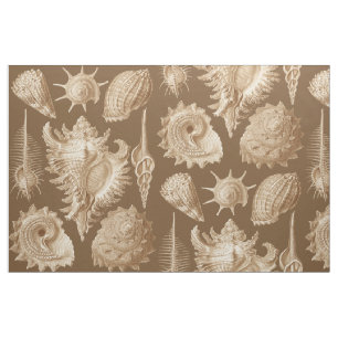 Tecido Antiguidade dos Seashells do vintage