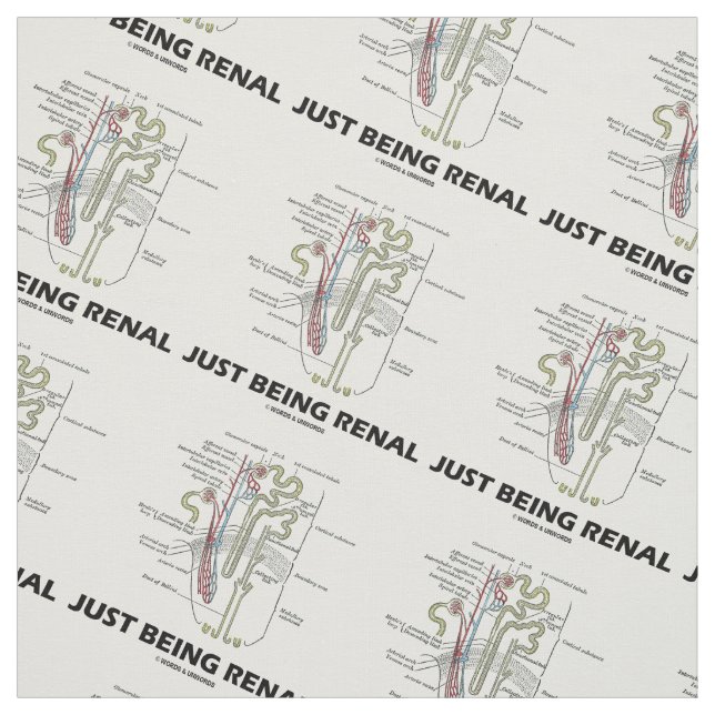 Tecido Apenas sendo humor anatômico renal de Nephron (Modelo)