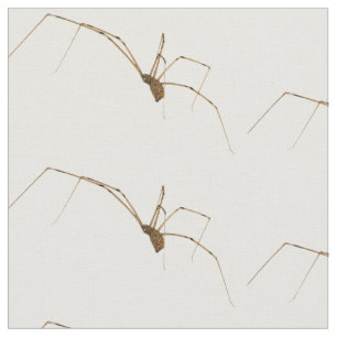 Tecido Aranha