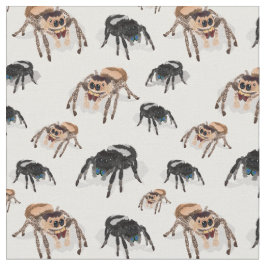 Tecido Aranha Aranha-Pulga Regal Phiddipus Regie Branco