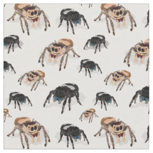 Tecido Aranha Aranha-Pulga Regal Phiddipus Regie Branco