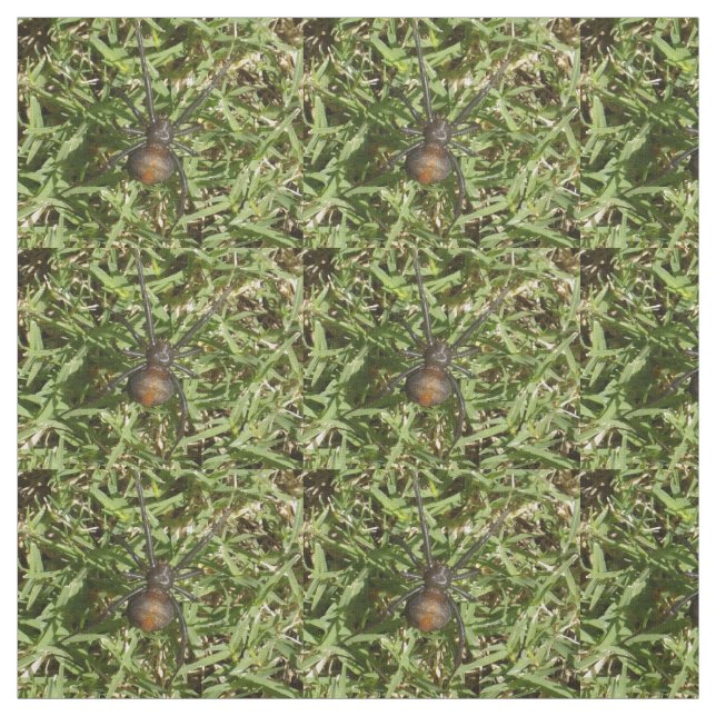 Tecido Aranha Redback Na Grama Verde, (Modelo)