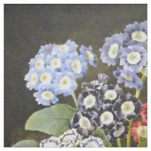 Tecido Arte floral botânica da aguarela das flores do