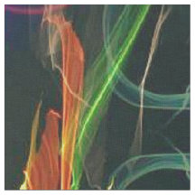 Arte popular de florescência dos