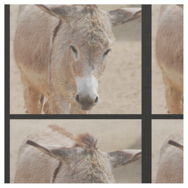 Tecido Asno só (Detalhe)