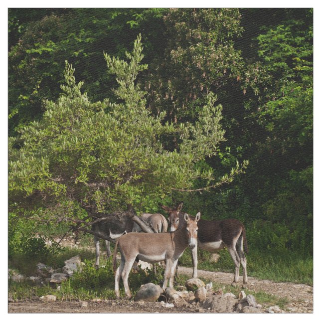 Tecido Asnos sob a árvore (Modelo)