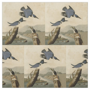 Tecido Audubon Belfisher Kingfisher Wildlife Bird
