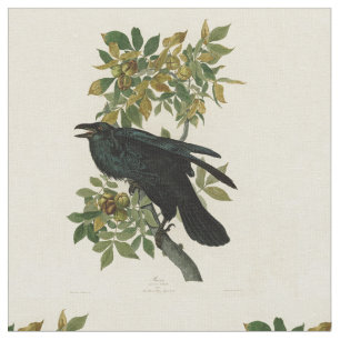 Tecido Audubon Raven Bird Classic Trabalho de arte