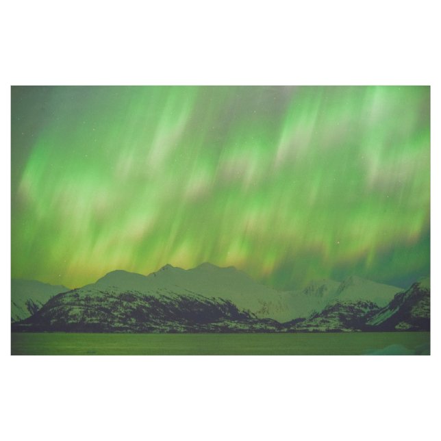 Tecido Aurora Espetacular (Jarda)