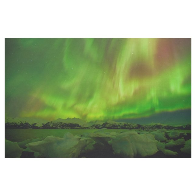 Tecido Aurora Incrível (Jarda)