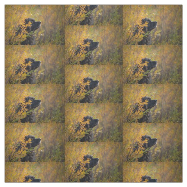 Tecido Autumn Leonberger (Modelo)