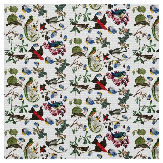 Tecido AVES-primavera, PENAS COLORIDAS E FRUTAS (Modelo)