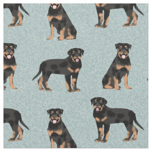 Tecido azul-claro para o cão rottweiler