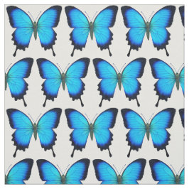 Tecido azul da borboleta de Ulysses Swallowtail