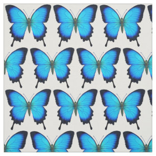 Tecido azul da borboleta de Ulysses Swallowtail