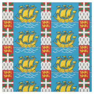 Tecido Bandeira de São Pedro e Miquelão