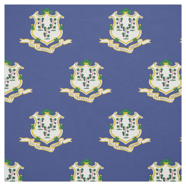 Tecido Bandeira do Estado de Connecticut (Modelo)