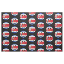Bandeira lustrosa de Rican da costela